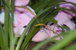 Bunny feet in the tall grass